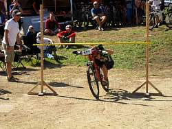 rd_IMG_7272.jpg